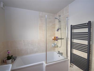 Picture 13